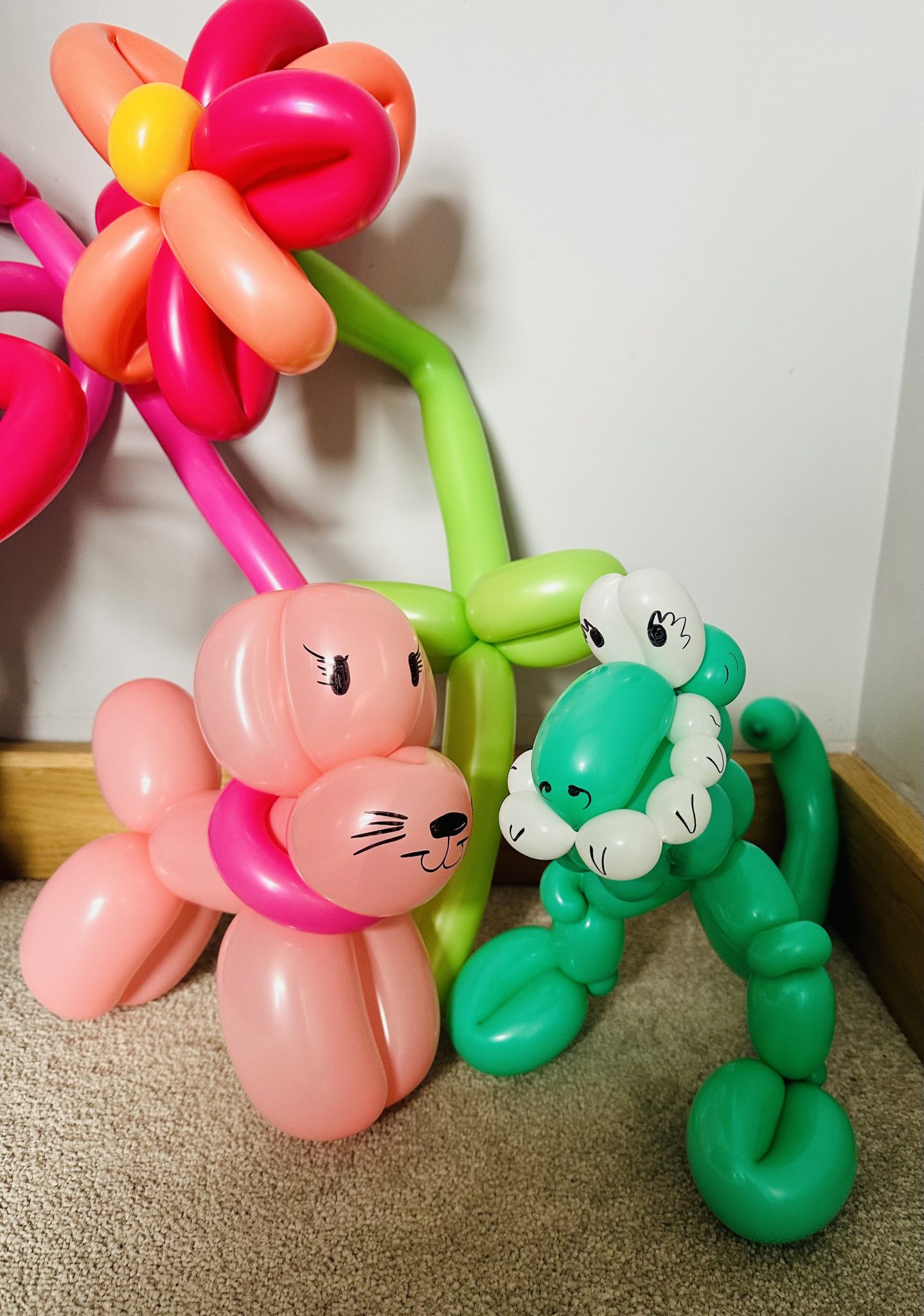 Balloon Modeller - Mr Dan